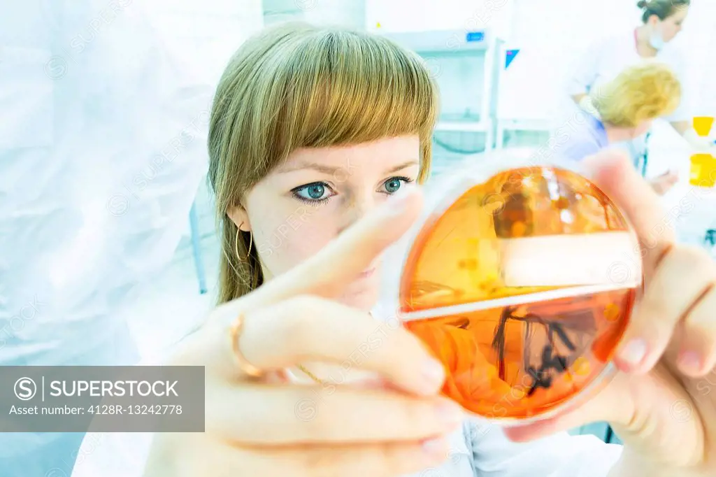 Female lab technician holding a petri dish.