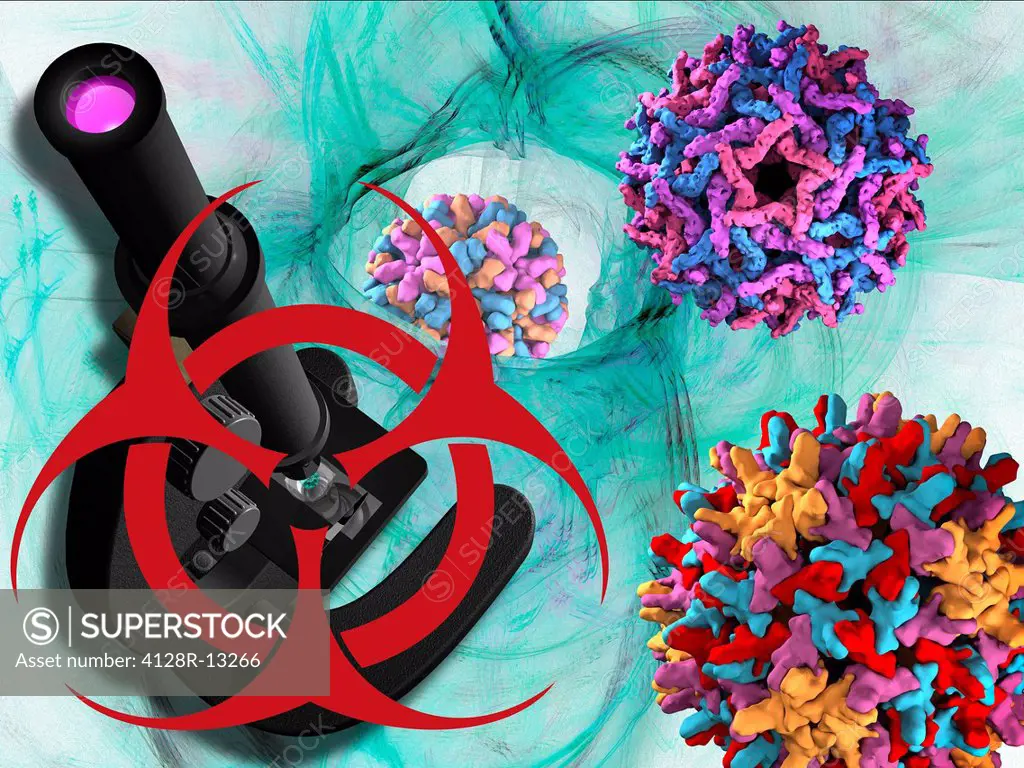 Viral pathogens, conceptual computer artwork.