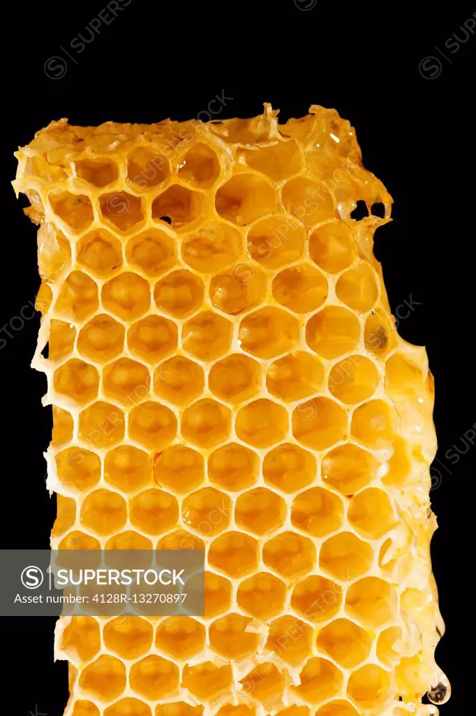 Honeycomb, close up.