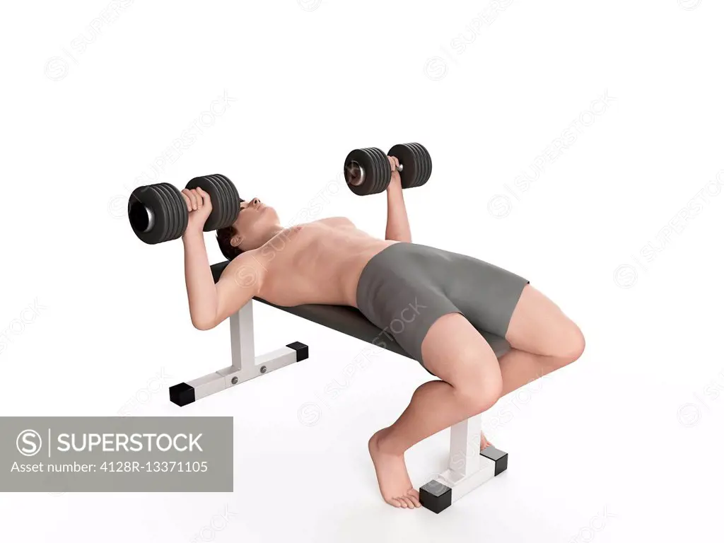 Man doing bench press exercise, illustration.
