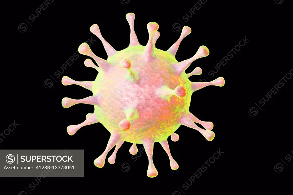 Human pathogenic virus, computer illustration.