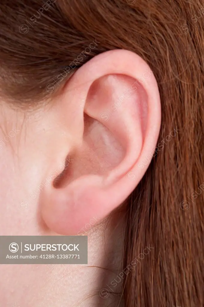 MODEL RELEASED. Woman's ear, close up.