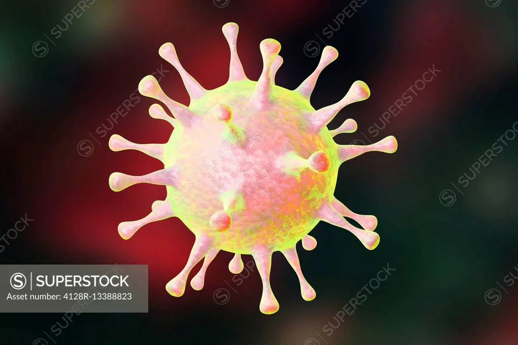 Human pathogenic virus, computer illustration.