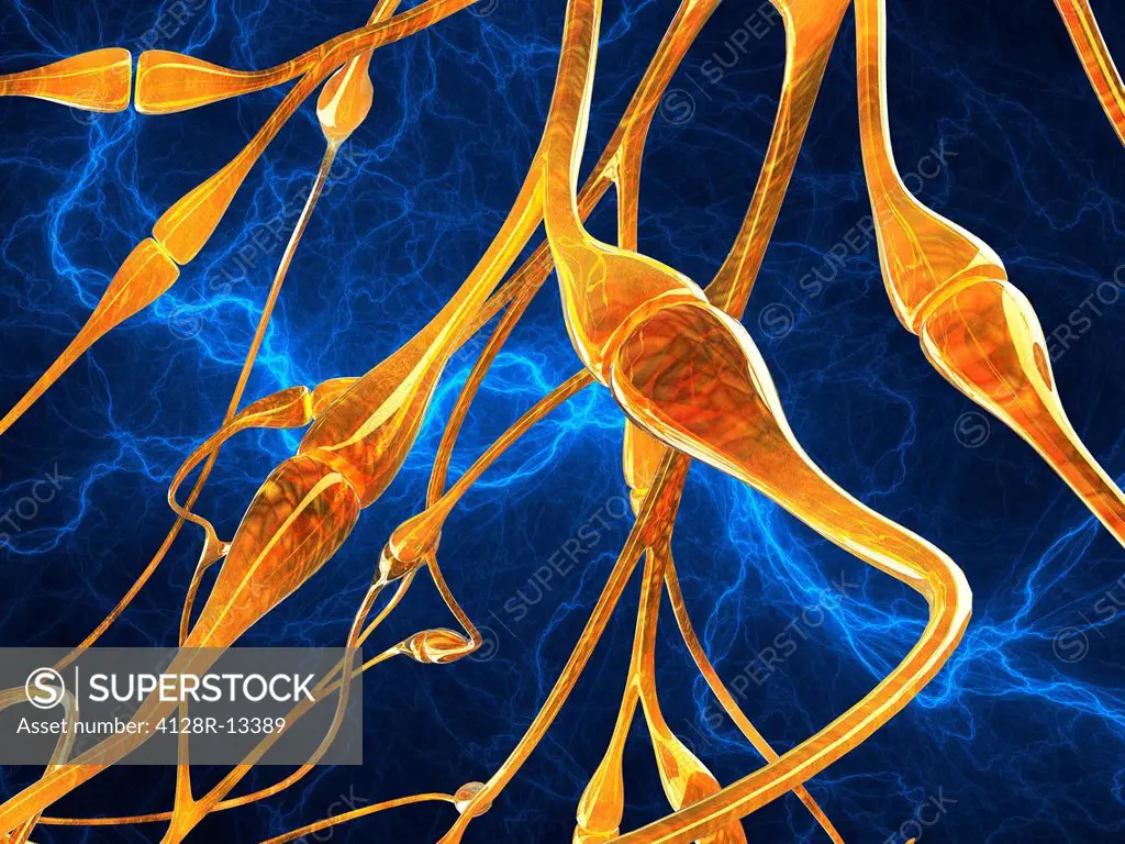 Nerve synapses, computer artwork.