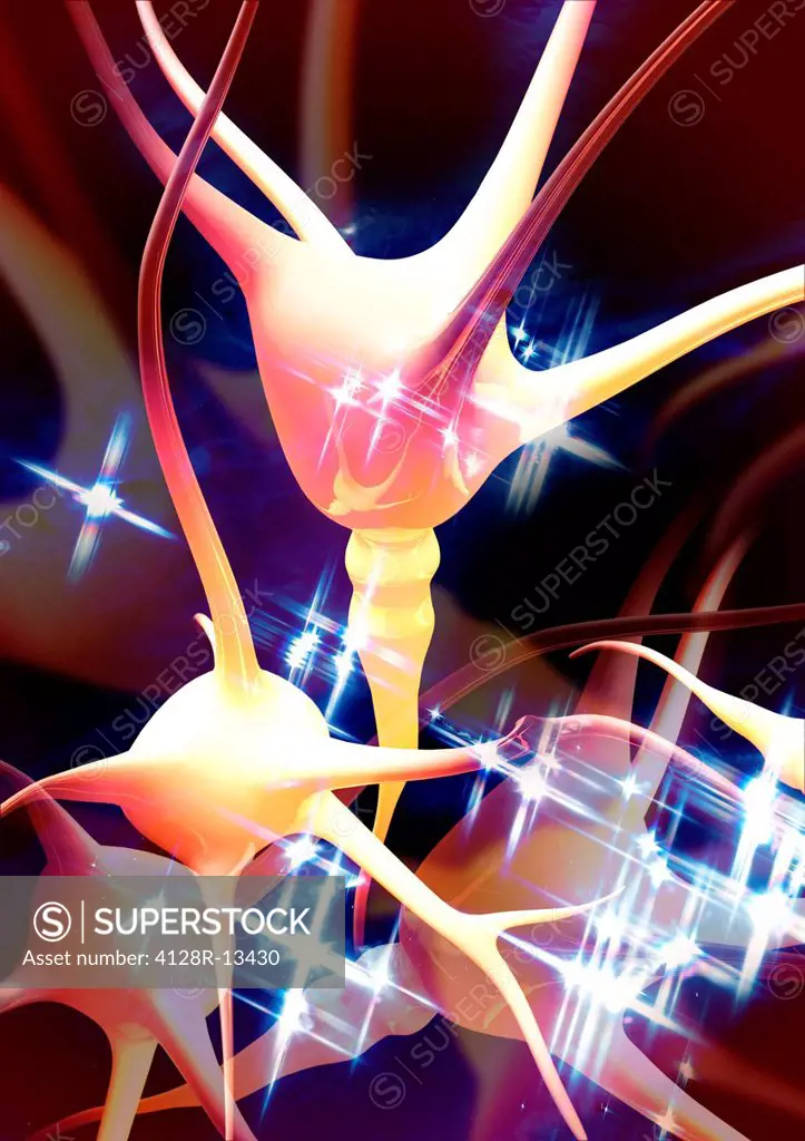 Nerve cells, computer artwork.