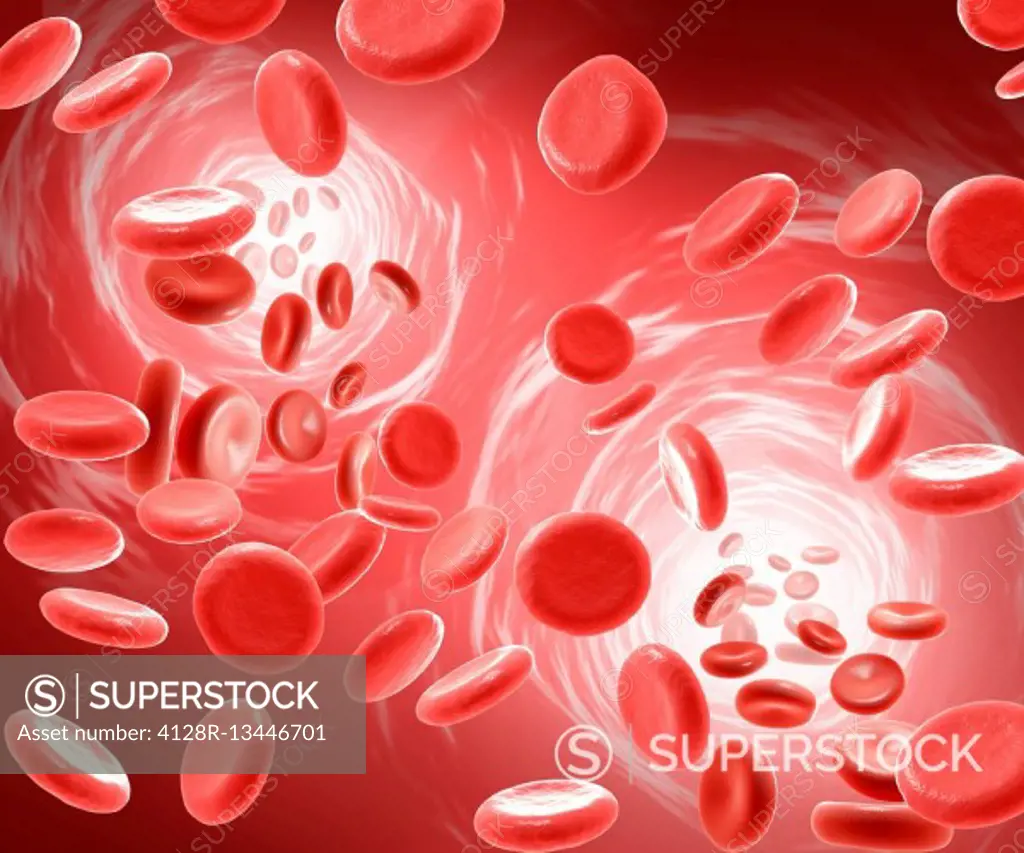 Illustration of red blood cells.