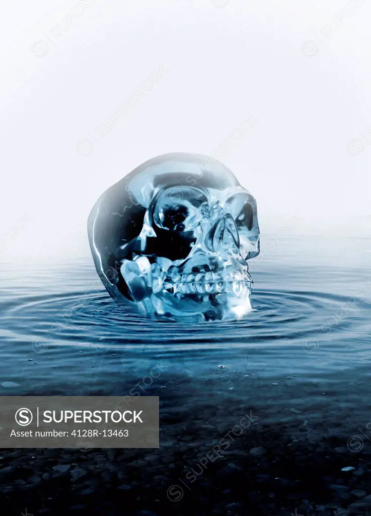 Crystal skull, computer artwork.