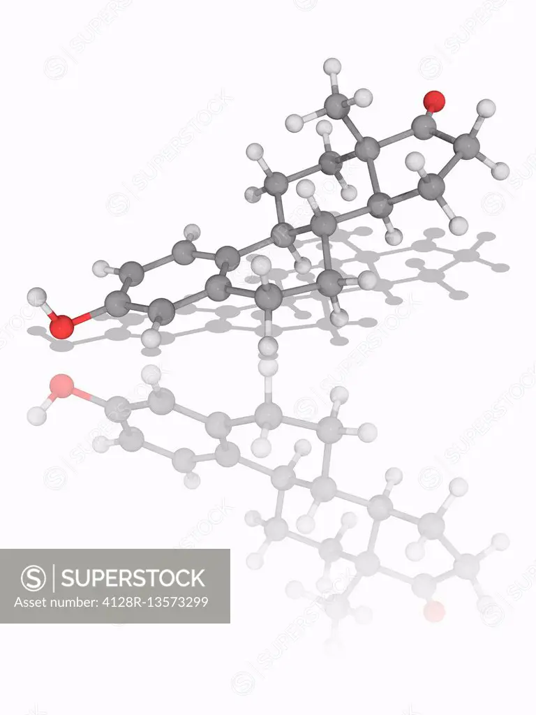 Estrone. Molecular model of the female sex hormone estrone (C18.H22.O2), one of the three main oestrogens produced by the human body (estradiol, estri...