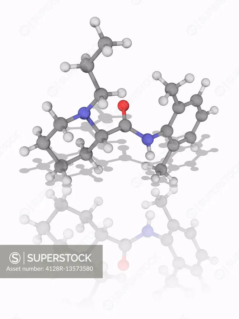 Ropivacaine. Molecular model of the local anaesthetic drug (C17.H26.N2.O), marketed as Naropin. Chemically it is a piperidine and an anilide. Atoms ar...