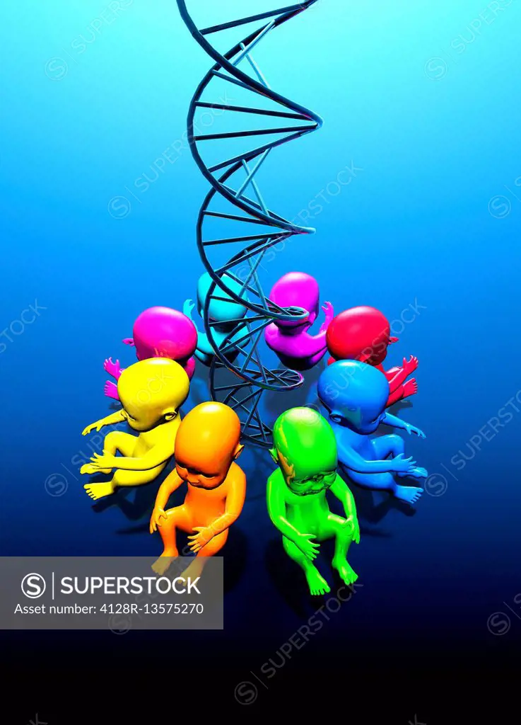 Genetic engineering, conceptual illustration.