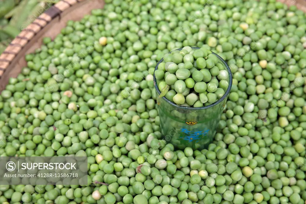 Fresh peas for sale in market, Stone Town, Zanzibar, Tanzania.