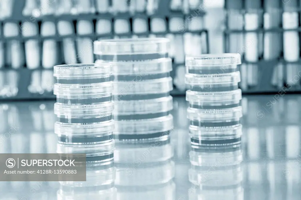 Stacks of petri dishes.