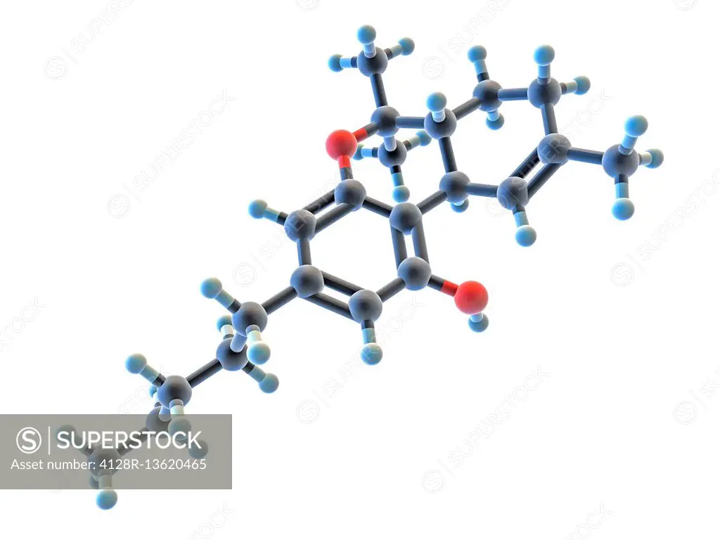 Tetrahydrocannabinol. Molecular model of tetrahydrocannabinol (THC, C21.H30.O2), the principal psychoactive constituent of the cannabis plant. Atoms a...