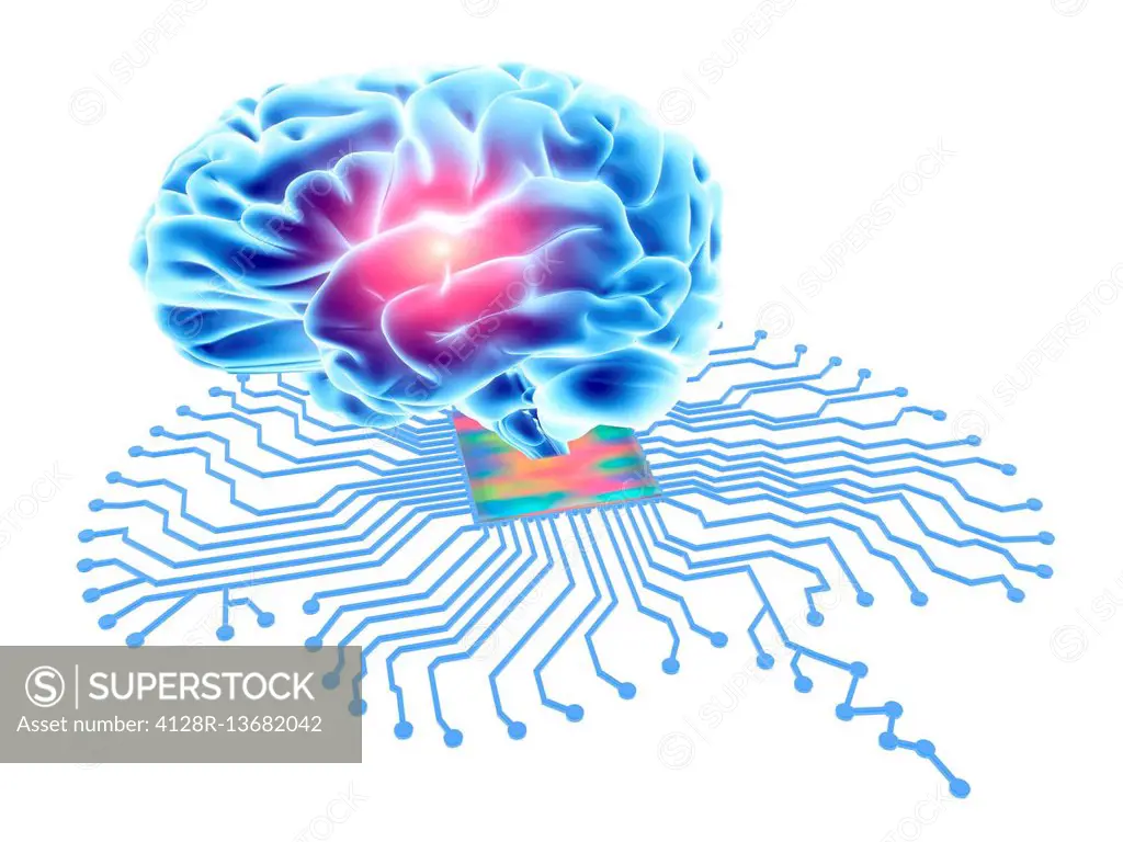Brain shaped printed circuit board with central processor and human brain. Conceptual computer artwork depicting artificial intelligence.
