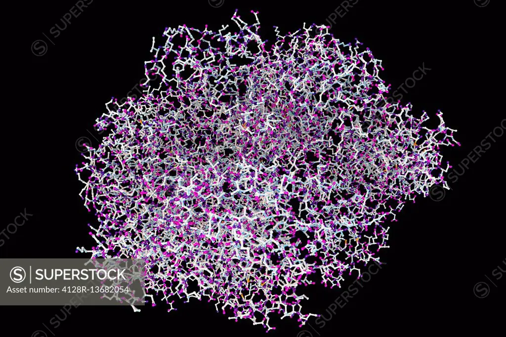 Anthrax oedema factor. Molecular model of oedema factor (EF) from the anthrax bacterium Bacillus anthracis complexed with a calmodulin protein molecul...