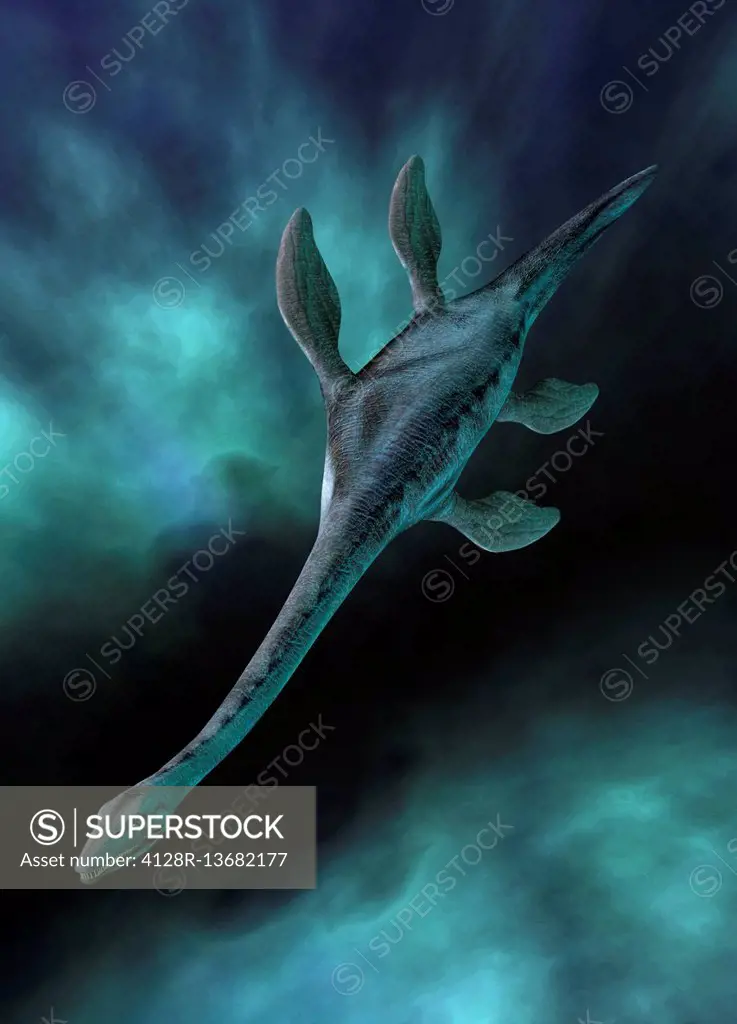 Plesiosaur illustration.