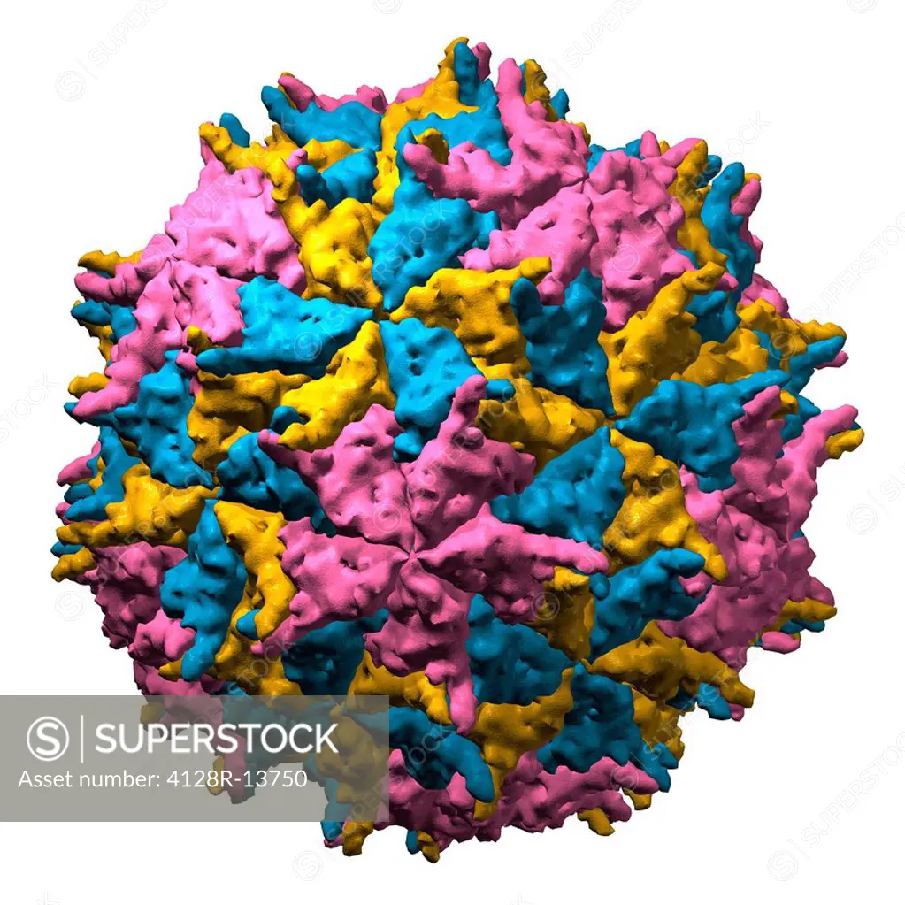 Nodamura virus. Computer model of the capsid of the Nodamura virus.