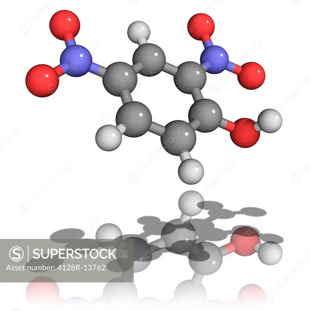 Dinitrophenol, molecular model. Dinitrophenol is used in the production of explosives, pesticides and wood preservers. It is also used as a diet aid, ...