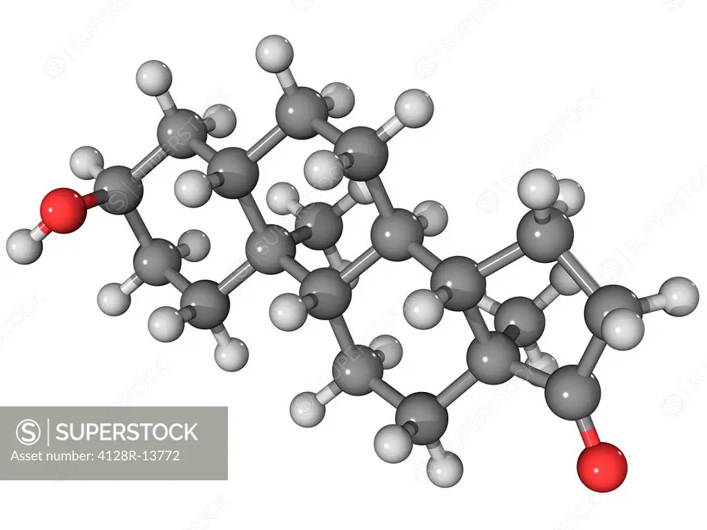 Androsterone, molecular model. This is a steroid male sex hormone. Atoms are represented as spheres and are colour_coded: carbon grey, hydrogen white ...
