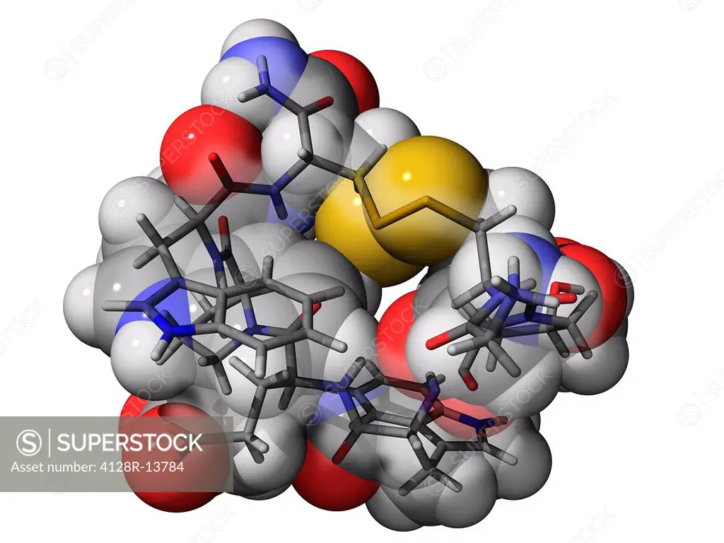 Contryphan_R, molecular model. This peptide is an active component of the venom produced by the sea snail Conus radiatus. Atoms are represented as sph...