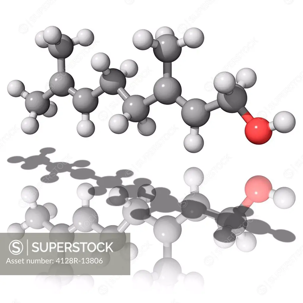 Geraniol, molecular model. This terpene alcohol is found in many essential oils, it has a geranium_like odour. Atoms are represented as spheres and ar...