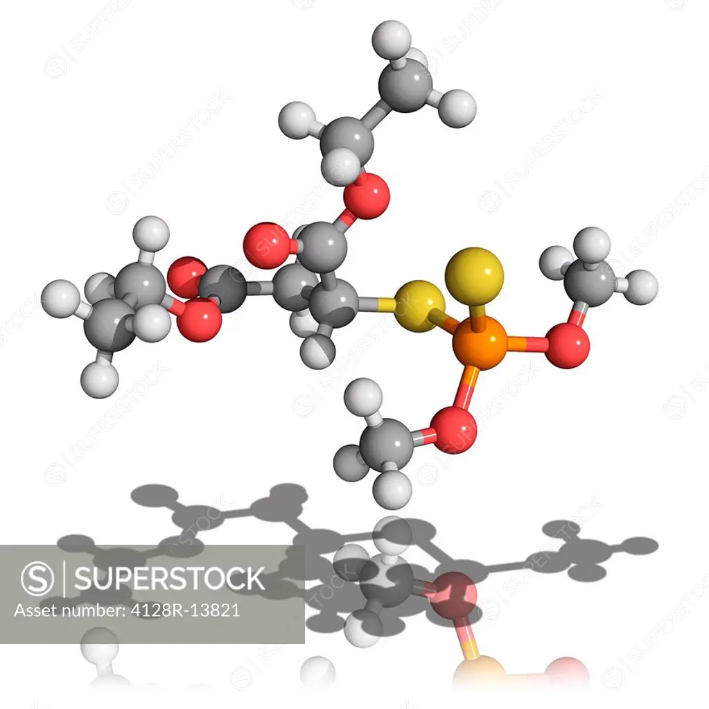Malathion, molecular model. This is an organophosphate pesticide. Atoms are represented as spheres and are colour_coded: carbon grey, hydrogen white, ...