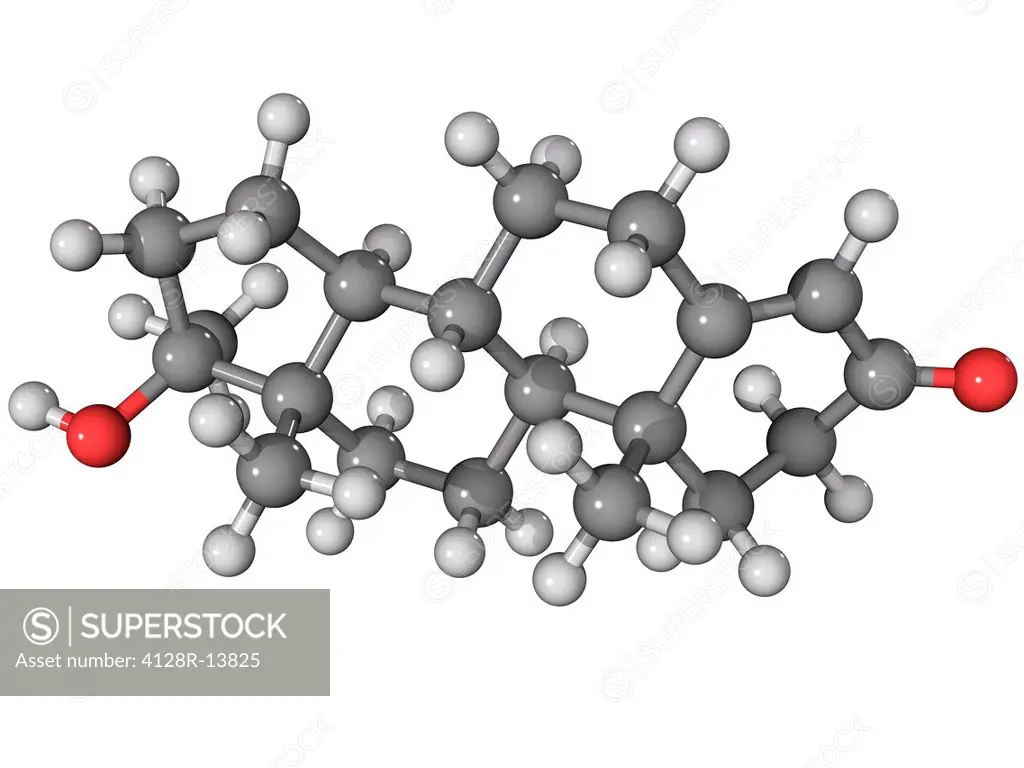 Methyltestosterone, molecular model. This is an anabolic steroid drug. Atoms are represented as spheres and are colour_coded: carbon grey, hydrogen wh...