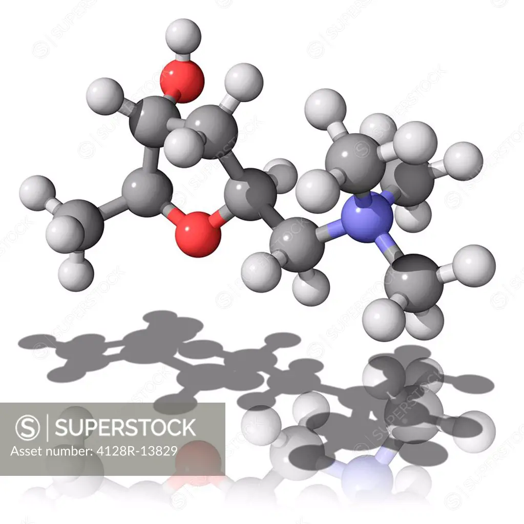Muscarine, molecular model. This toxic compound is present in a number of mushrooms. Atoms are represented as spheres and are colour_coded: carbon gre...