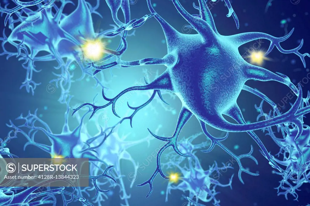 Nerve cells, illustration.