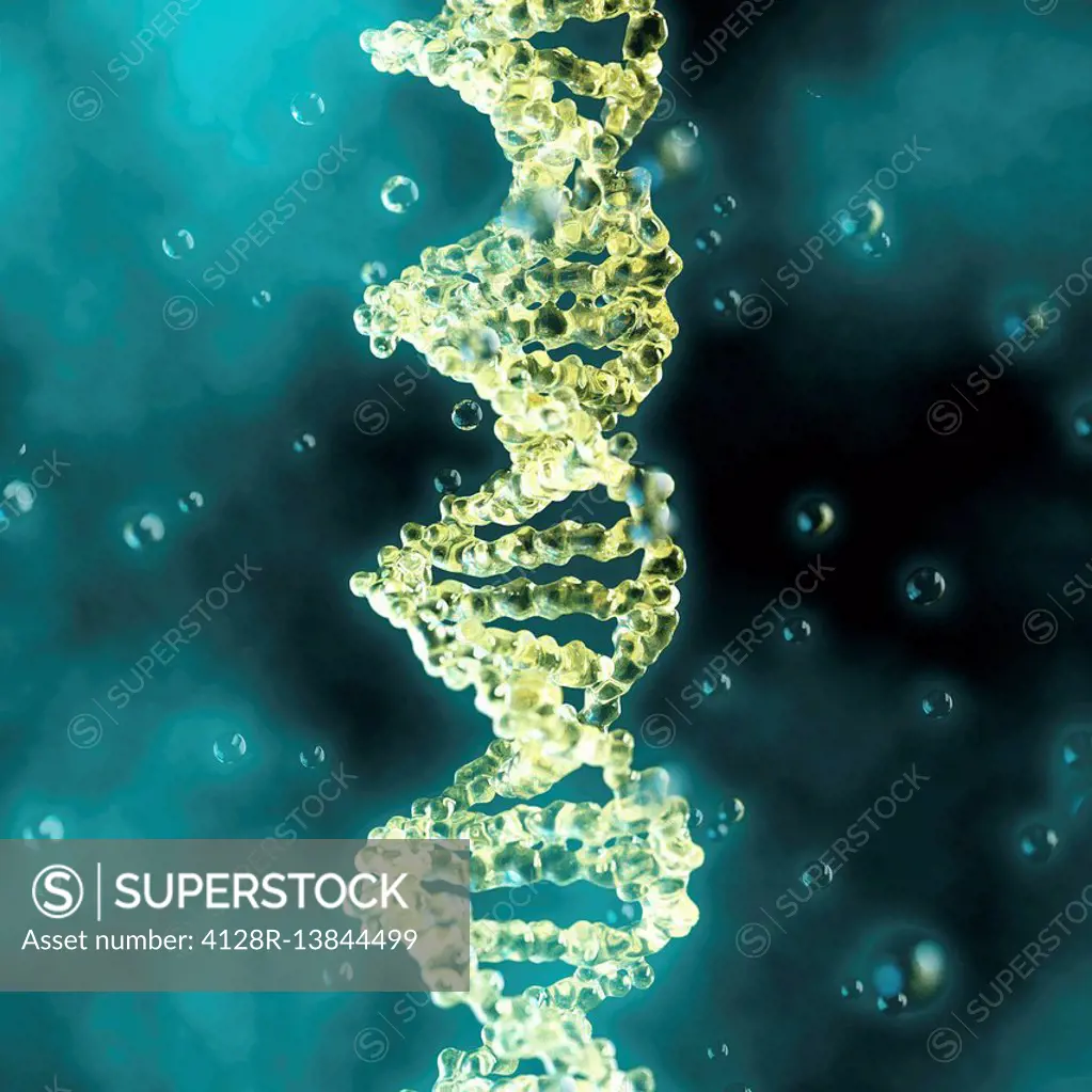 DNA (deoxyribonucleic acid) molecule, computer illustration.