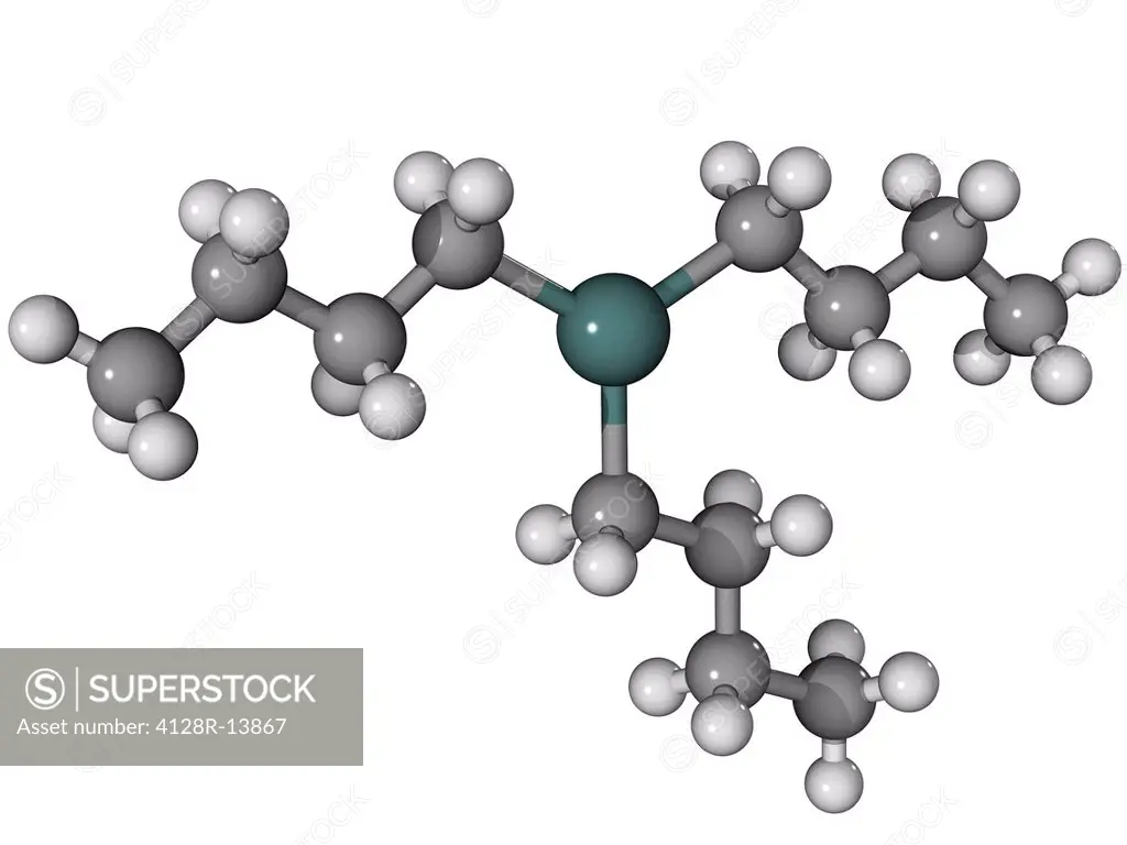 Tributyltin, molecular model. This is the active ingredient in a number of biocides. Atoms are represented as spheres and are colour_coded: carbon gre...
