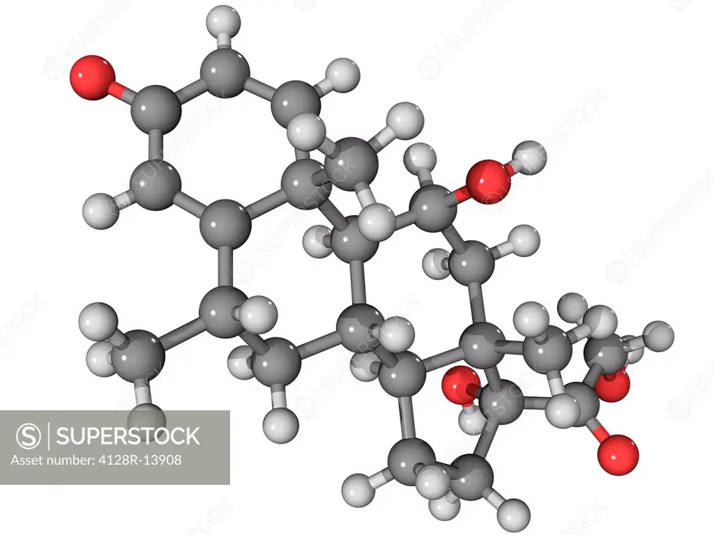 Methylprednisolone, molecular model. This is a synthetic corticosteroid drug. Atoms are represented as spheres and are colour_coded: carbon grey, hydr...
