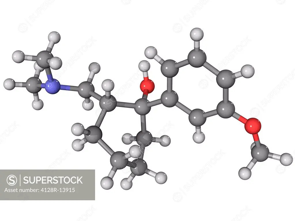 Tramadol, molecular model. This is a synthetic opioid analgesic painkiller drug. Atoms are represented as spheres and are colour_coded: carbon grey, h...