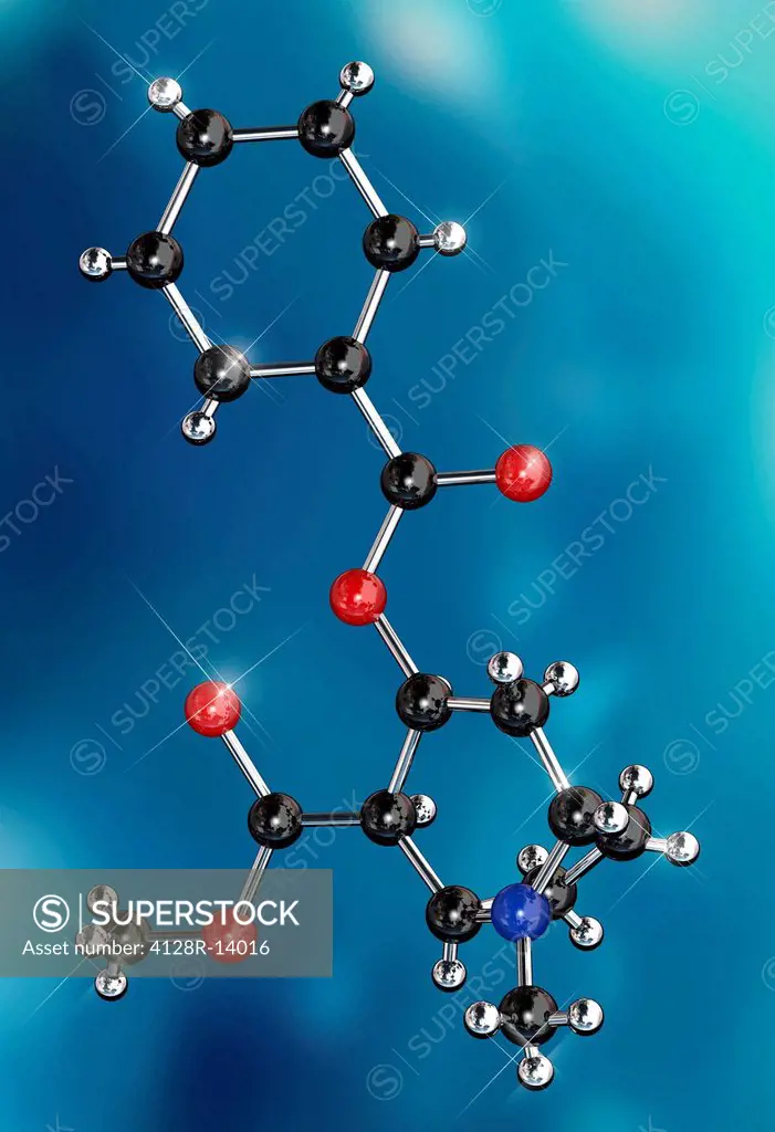 Cocaine drug, molecular model. Atoms are represented as spheres and are colour_coded: carbon black, hydrogen silver, oxygen red and nitrogen blue.