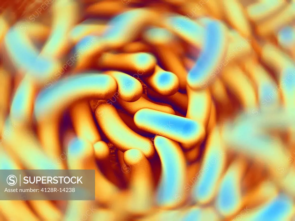 Computer artwork depicting a cluster of bacteria.