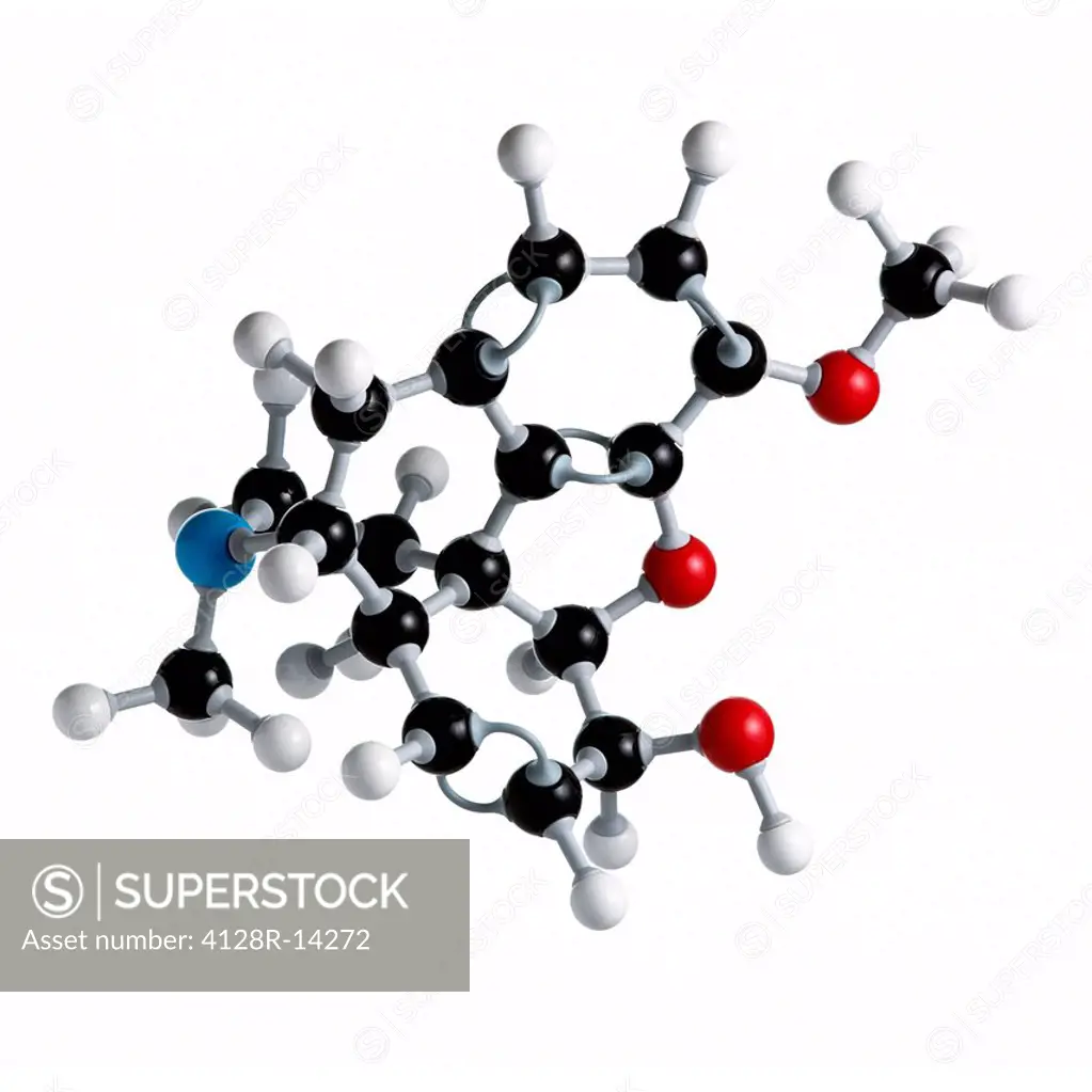 Codeine drug molecule. Atoms are represented as spheres and are colour_coded: carbon black, hydrogen white, nitrogen blue and oxygen red.