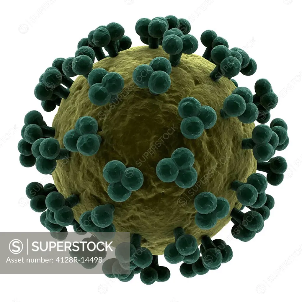 HIV human immunodeficiency virus particle, computer artwork.