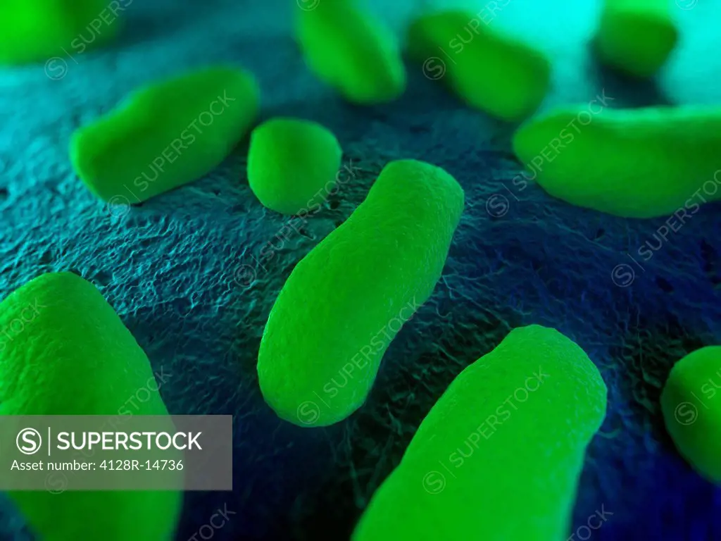 Bacteria, conceptual computer artwork.