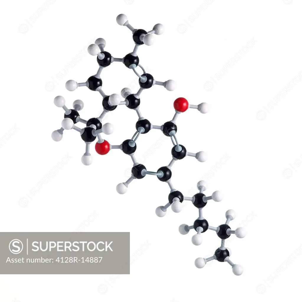 THC drug molecule. Atoms are represented as spheres and are colour_coded: carbon black, hydrogen white oxygen red.