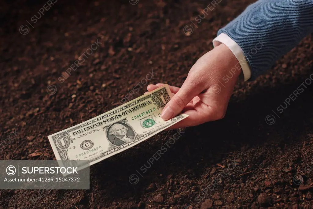 Bank loan for agriculture, conceptual image