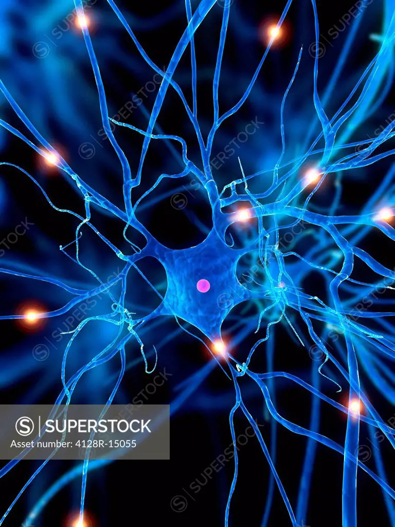 Nerve cell, computer artwork.