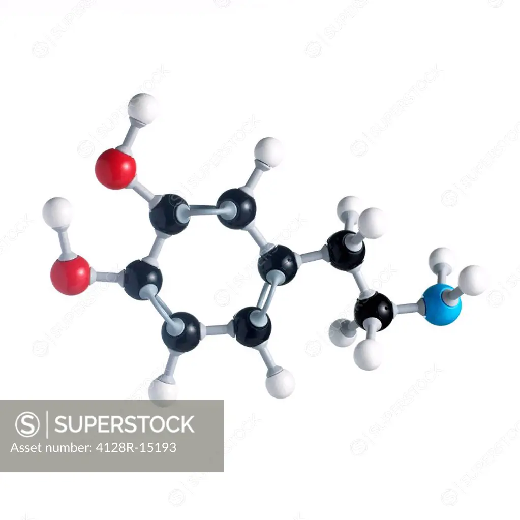 Dopamine neurotransmitter molecule. Atoms are represented as spheres and are colour_coded: carbon black, hydrogen white, nitrogen blue and oxygen red.