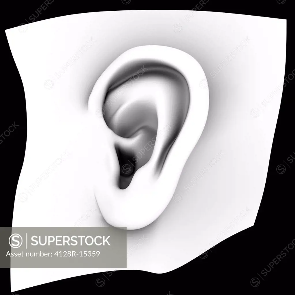 Human ear, computer artwork. This could represent the growing of new human organs in the laboratory. This process is called tissue engineering, using ...