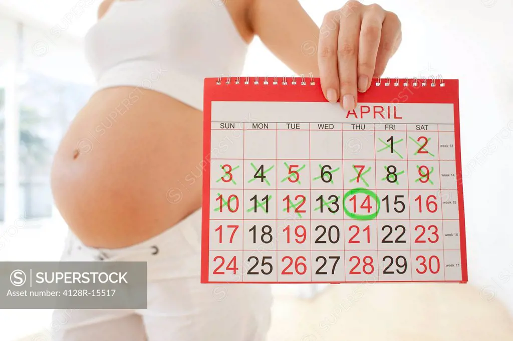 Due date. Pregnant woman holding a calendar.