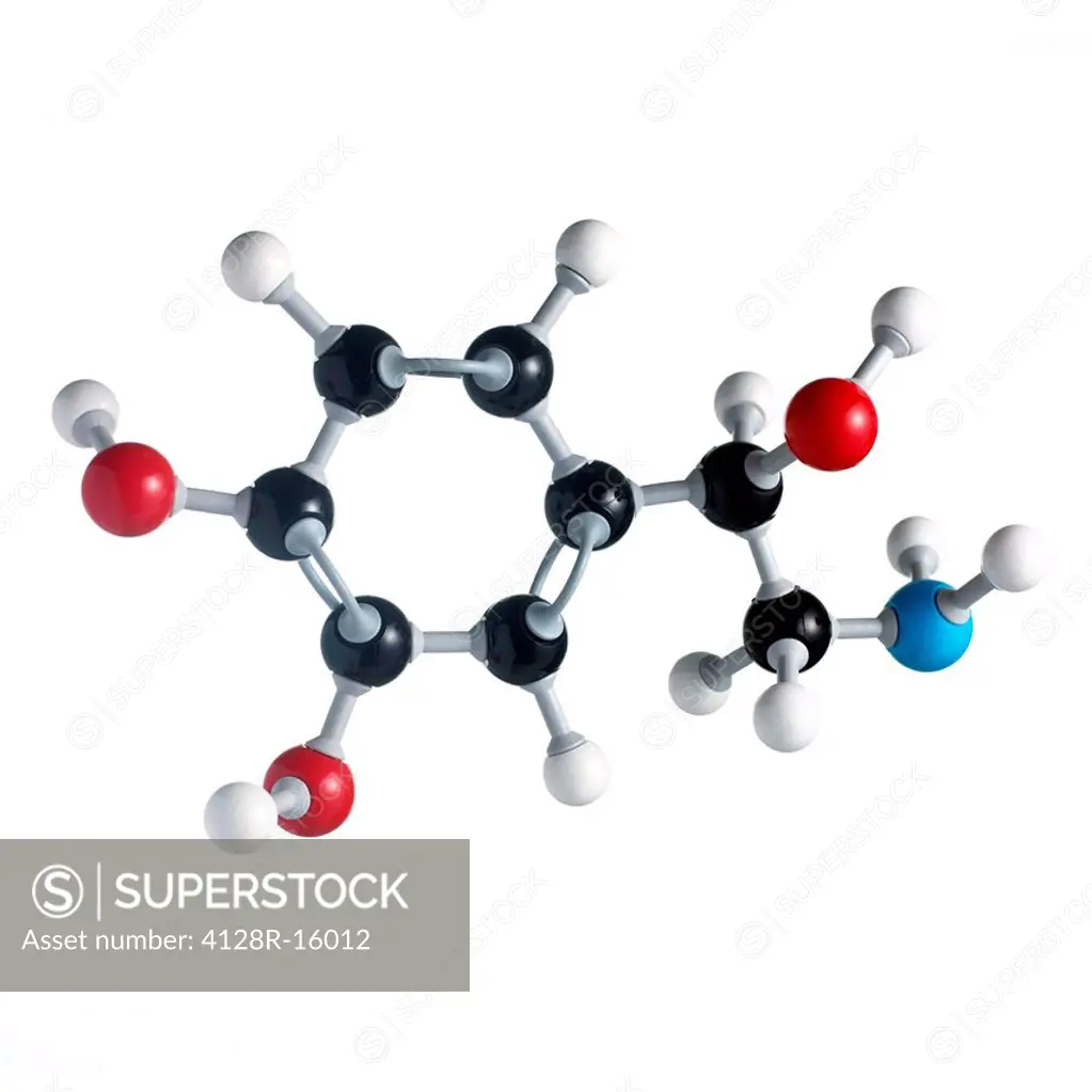 Noradrenaline molecule. Atoms are represented as spheres and are colour_coded: carbon black, hydrogen white, nitrogen blue and oxygen red.