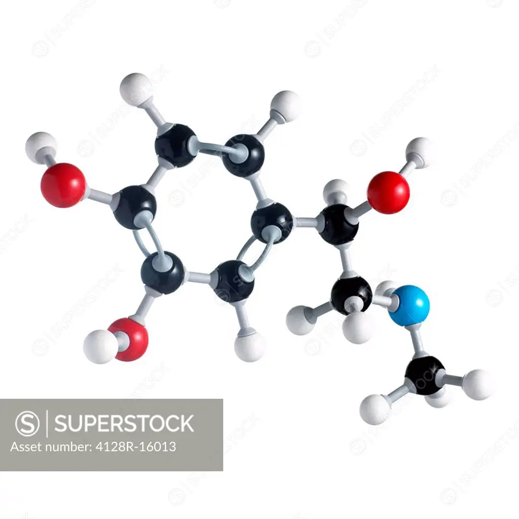 Adrenaline molecule. Atoms are represented as spheres and are colour_coded: carbon black, hydrogen white, nitrogen blue and oxygen red.