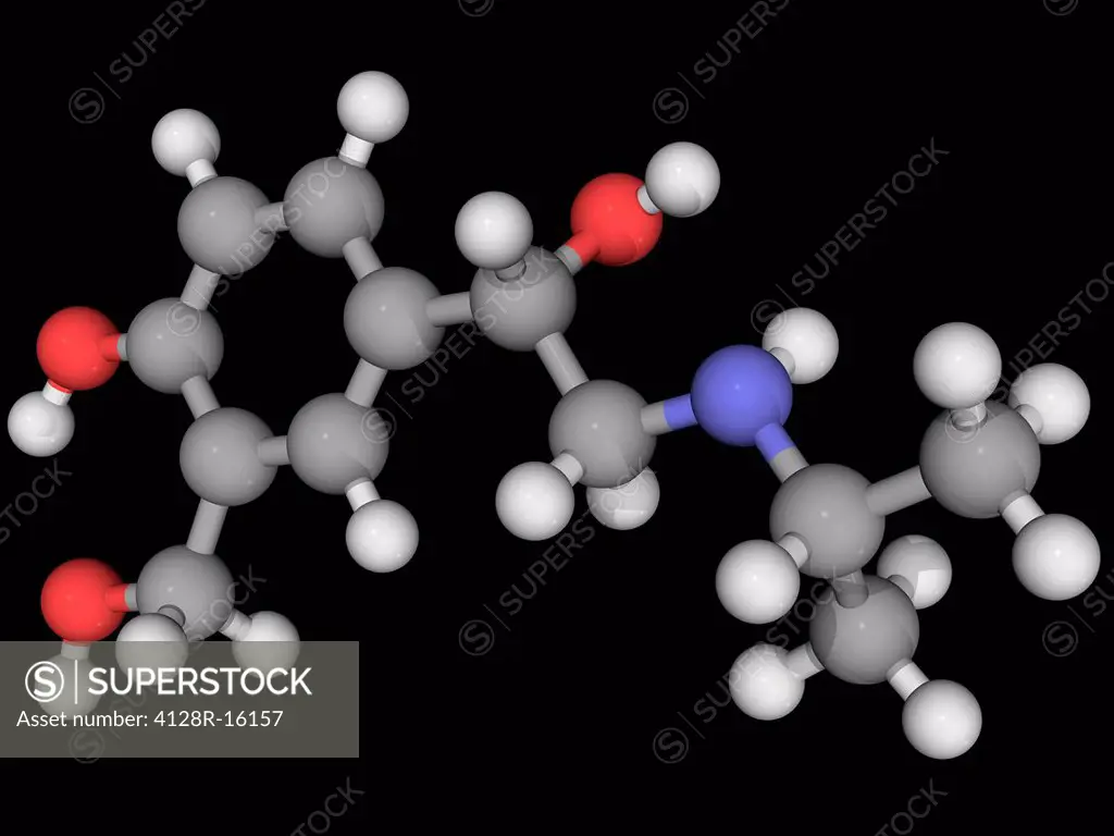 Albuterol, molecular model. Beta2_adrenergic receptor agonist for the treatment of asthma and chronic obstructive pulmonary disease. Atoms are represe...