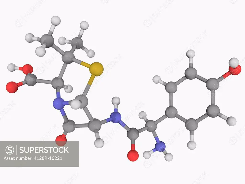 Amoxicillin, molecular model. Antibiotic used for the treatment of bacterial infections. Atoms are represented as spheres and are colour_coded: carbon...