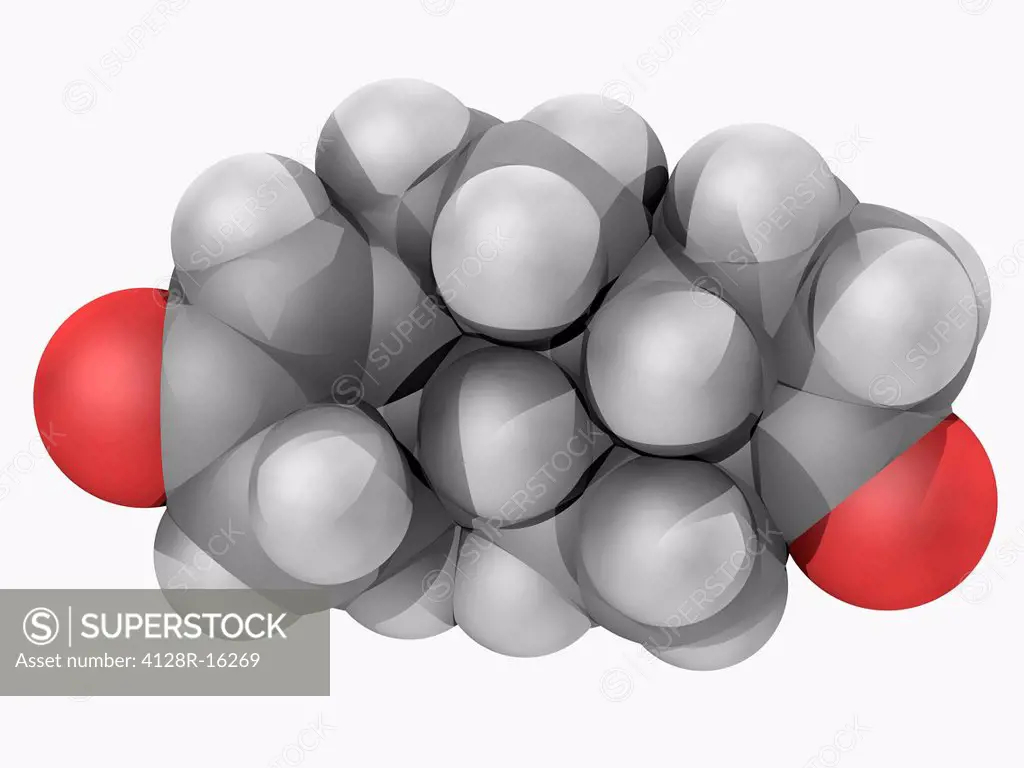 Androstenedione, molecular model. Steroid hormone produced in the adrenal glands and the gonads. Atoms are represented as spheres and are colour_coded...