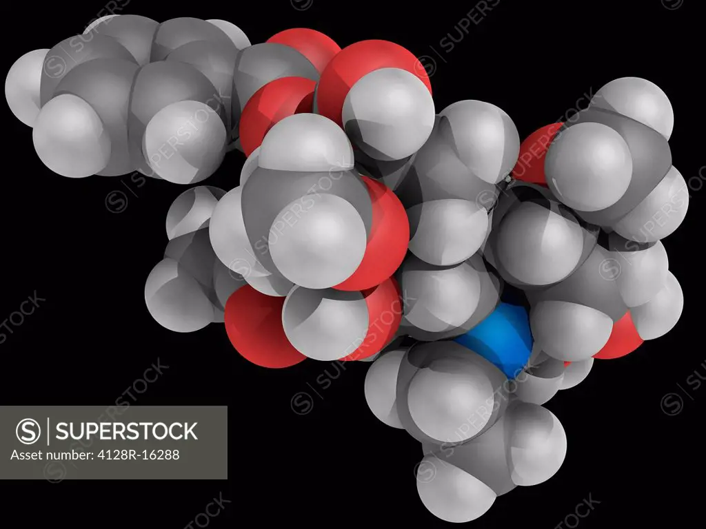 Aconitine, molecular model. Deadly neurotoxin produced by Aconitum plants. Atoms are represented as spheres and are colour_coded: carbon grey, hydroge...
